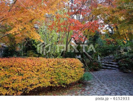 新潟　中野邸・もみじ園 6152933