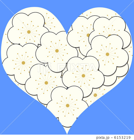 青をバックにした白梅のハート型 青をバックにした白梅のハート型 6153219