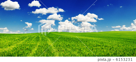 spring field spring field 6153231