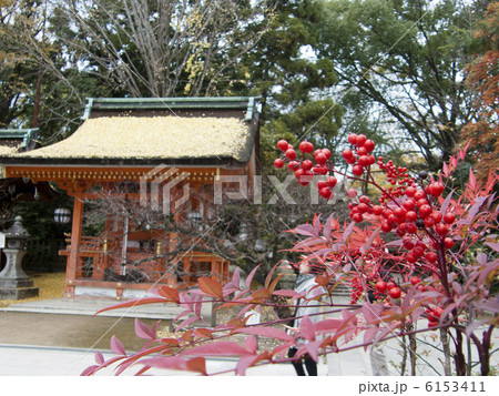 北野天満宮 北野天満宮 6153411
