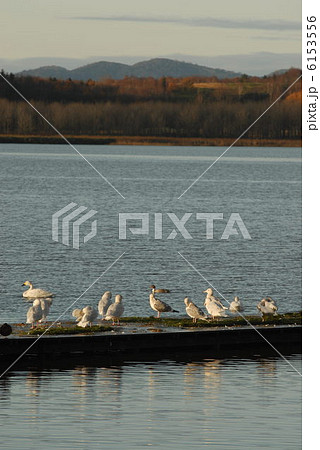 クッチャロ湖 6153556