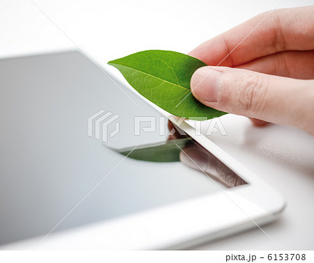 木の葉とタブレット 6153708