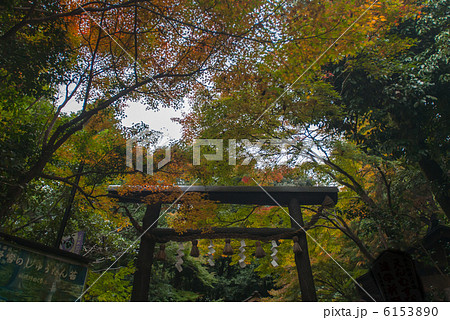 野宮神社 6153890