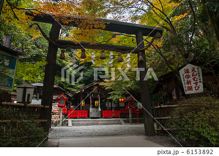 野宮神社 6153892
