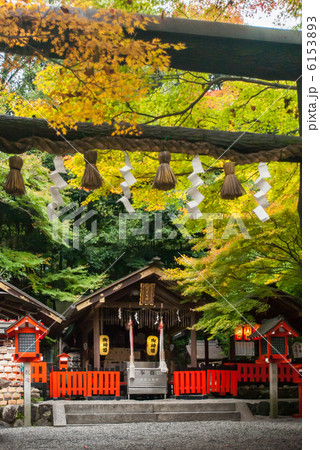 野宮神社 6153893