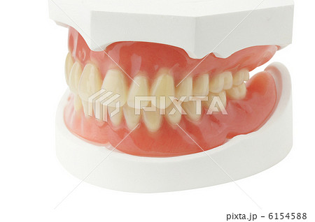 総義歯 総義歯 6154588