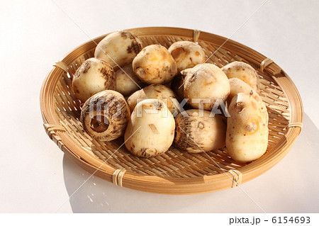 白芽大吉 6154693