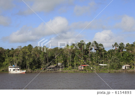 アマゾン河岸の民家 アマゾン河岸の民家 6154893