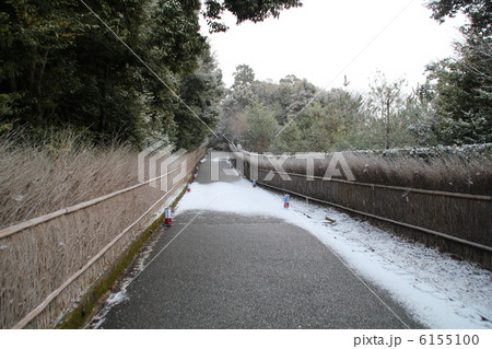 亀山公園 6155100