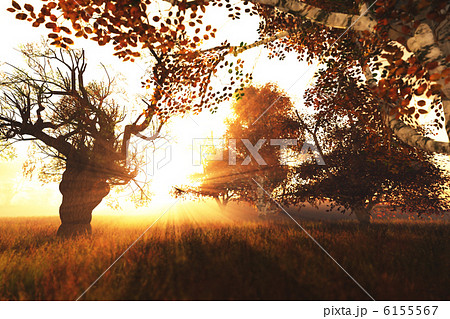 Magical Fantasy Autumn Forest 3D render 6155567