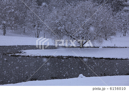 しんしんと牡丹雪舞う　静寂の雪景色 6156010