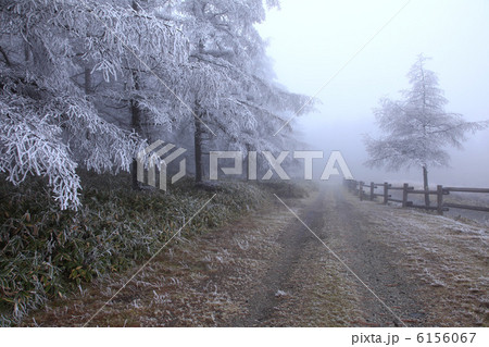 霧氷の木と砂利道 6156067