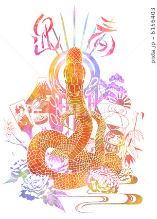 蛇　カラー 6156403