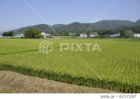 田園風景 6157287