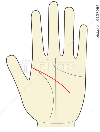 左手の手相 知能線 頭脳線のイラスト素材