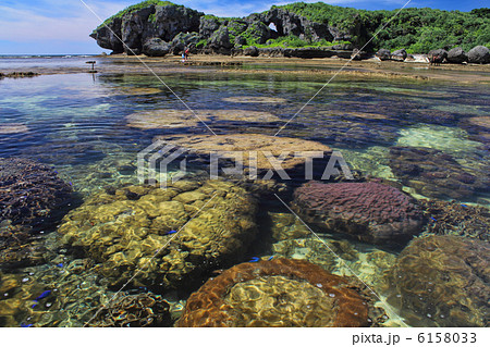 恩納村の海岸　サンゴ礁の浅瀬 6158033