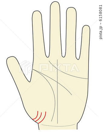 左手の手相 陰徳線 カリスマ線のイラスト素材