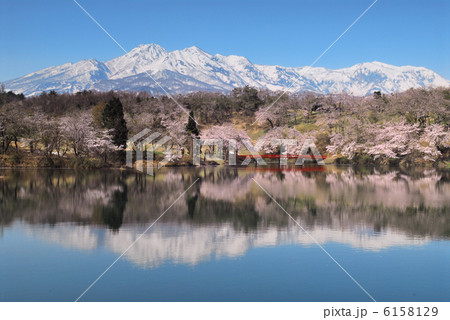 桜と残雪 桜と残雪 6158129