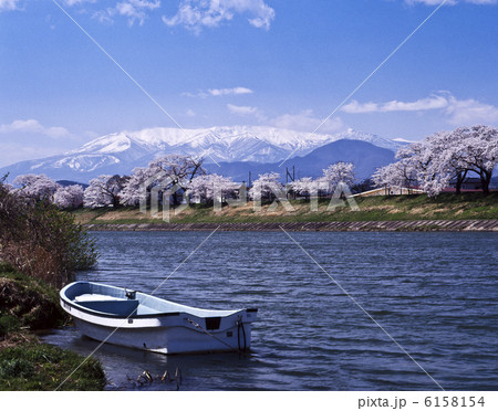 白石川と一目千本桜 白石川と一目千本桜 6158154