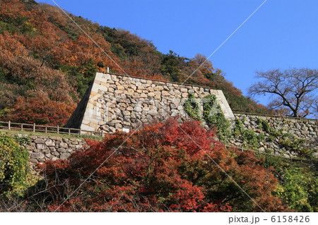 鳥取城・二の丸三階櫓台 6158426