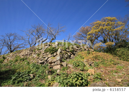 鳥取城・山上の丸石垣 6158557