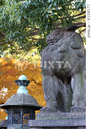 上野東照宮 6158577