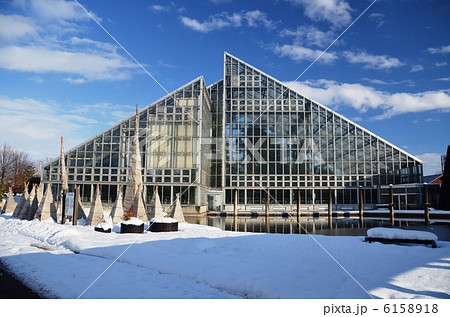 雪の中に立つ富山県中央植物園の巨大温室 雪の中に立つ富山県中央植物園の巨大温室 6158918