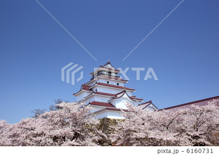 鶴ヶ城と桜 鶴ヶ城と桜 6160731