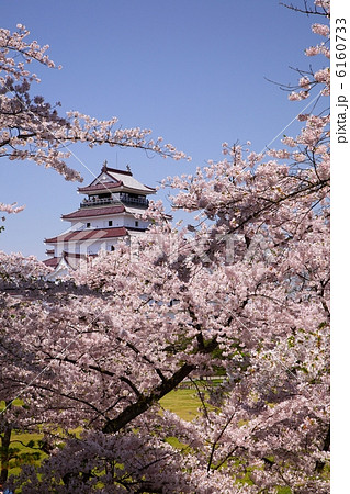 桜と鶴ヶ城 桜と鶴ヶ城 6160733