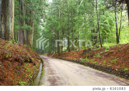 日光杉並木 6161083