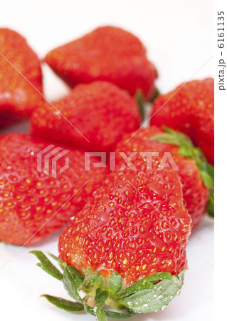 イチゴ 6161135