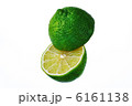 ライム 6161138