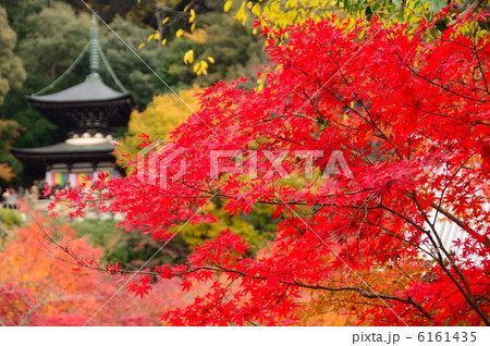 永観堂の紅葉(多宝塔を望む) 永観堂の紅葉(多宝塔を望む) 6161435