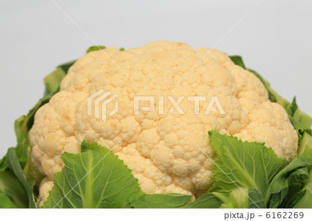 カリフラワー カリフラワー 6162269