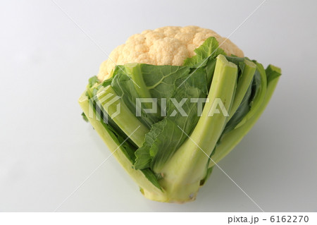 カリフラワー 6162270