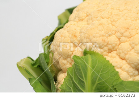 カリフラワー カリフラワー 6162272