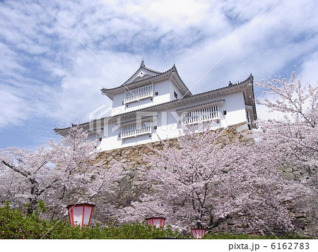 鶴山公園の桜 6162783