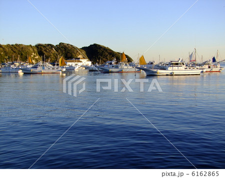 三浦　江奈湾 6162865