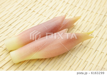 みょうが　竹かご 6163299