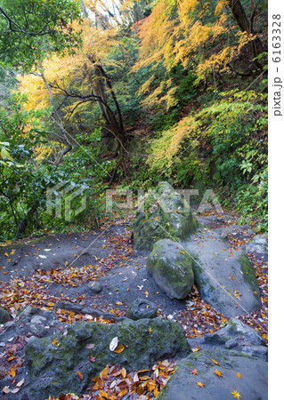 化粧坂切通しの紅葉 化粧坂切通しの紅葉 6163328