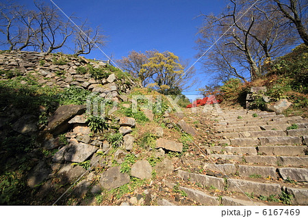 鳥取城・山上の丸石垣と石段 6167469