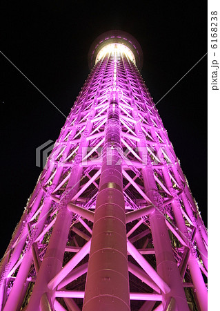 スカイツリー（冬雅　真下） 6168238
