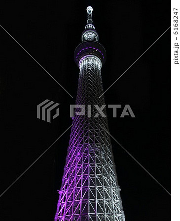 スカイツリー（冬雅　真下） 6168247