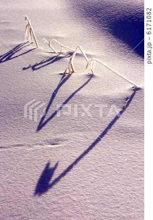 雪原の影絵 6171082