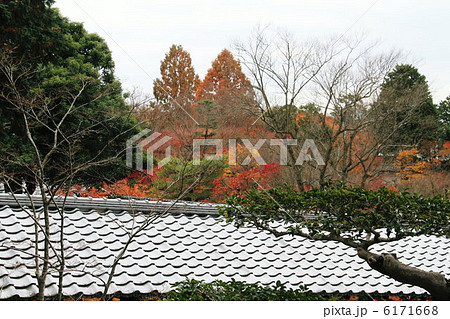 もみじとお寺 6171668