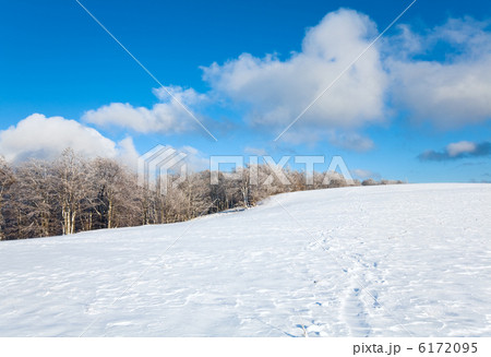First winter snow and mountain beech forest 6172095