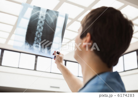 Nurse is checking an x-ray 6174283