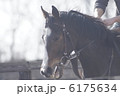 懸命 6175634