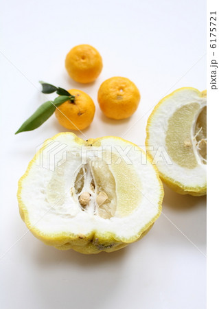 大柚子 獅子柚子 大柚子 獅子柚子 6175721