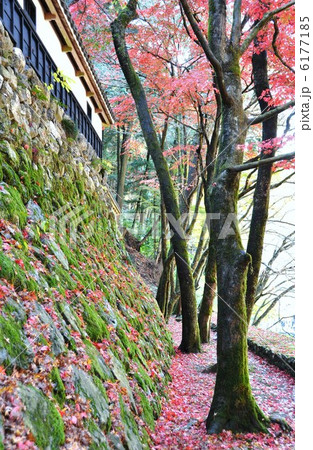 秋の横蔵寺 秋の横蔵寺 6177185